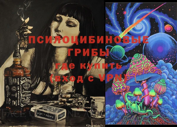 ПСИЛОЦИБИНОВЫЕ ГРИБЫ Домодедово