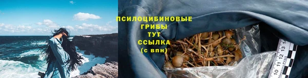 PSILOCYBIN Приозерск