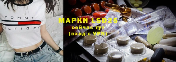 PSILOCYBIN Приозерск