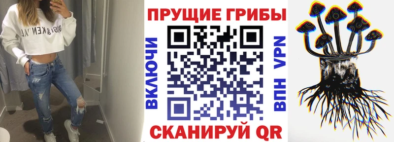 даркнет сайт  Ртищево  Псилоцибиновые грибы прущие грибы 