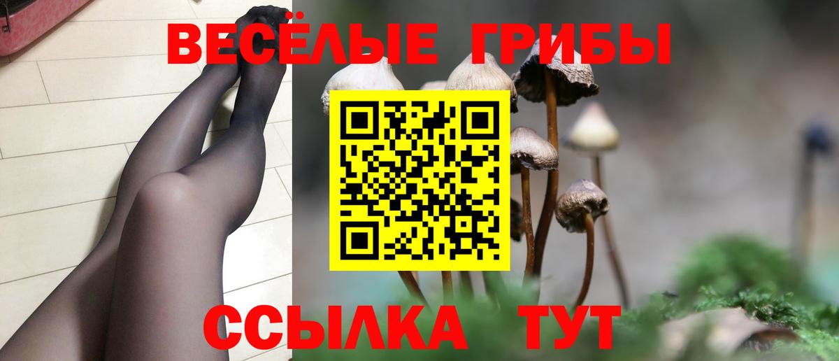 Галлюциногенные грибы мухоморы  Вход с VPN  где найти   Ртищево 
