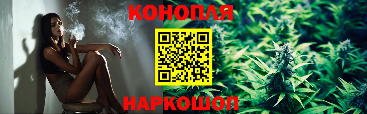 Бошки Шишки MAZAR Ртищево